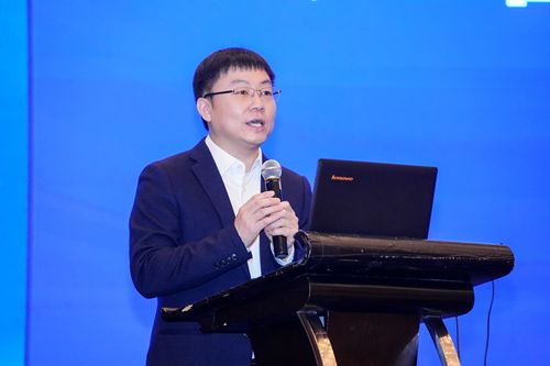 1739168013617871.jpg 石磊.jpg