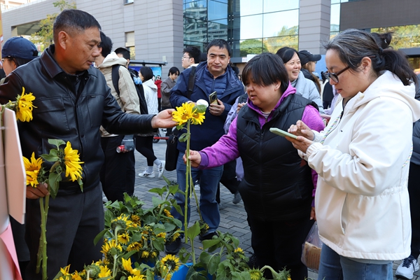 1764137532222016.jpg 绿意生活1.jpg